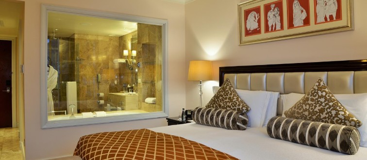 Superior Interior Room